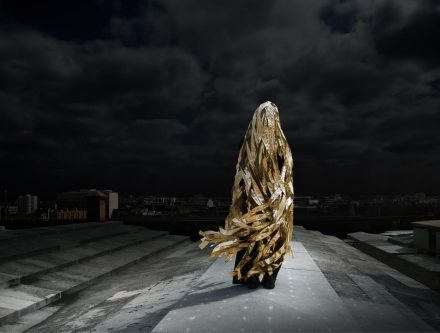 La Chevelure de Bérénice Corinne Mercadier