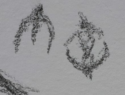 Les-swifts-sont-arrivées-ce-matin